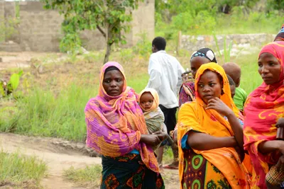 DSC_9464 (Large).JPG